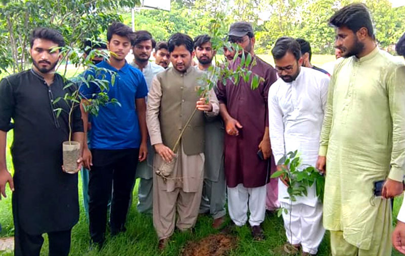 MSM launches tree plantation drive across the country