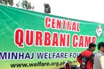 Collective sacrifice 2009 under Minhaj Welfare Foundation commenced