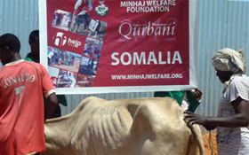 صومالیہ : منہاج ویلفیئر فاؤنڈیشن کے زیراہتمام اجتماعی قربانی 2012ء