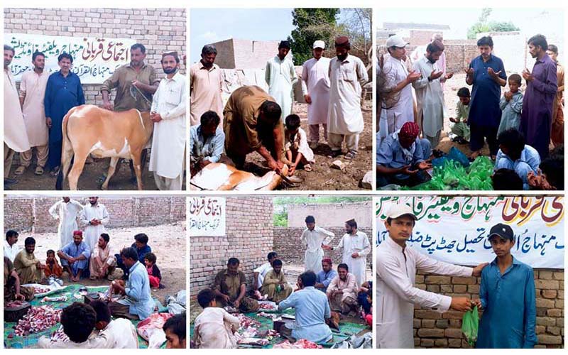 منہاج القرآن اور منہاج ویلیفئر فاونڈیشن کے زیراہتمام بلوچستان بھر میں اجتماعی قربانی کا اہتمام