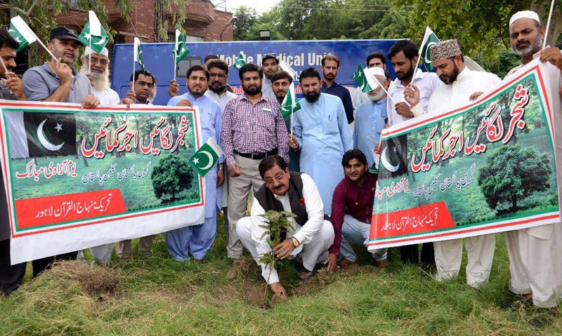 منہاج القرآن نے لاہور سمیت پورے ملک میں شجر کاری مہم شروع کر دی