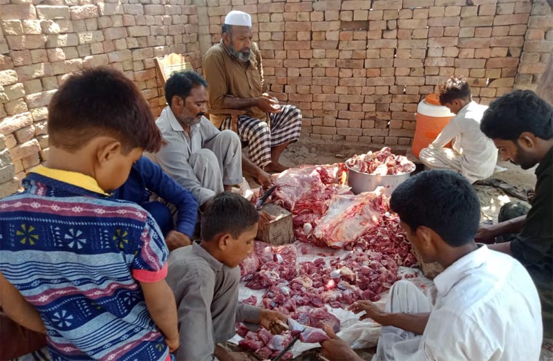 لیاقت پور (رحیم یار خان) : منہاج ویلفیئر فاؤنڈیشن کے زیراہتمام اجتماعی قربانی، مستحقین میں گوشت کی تقسیم