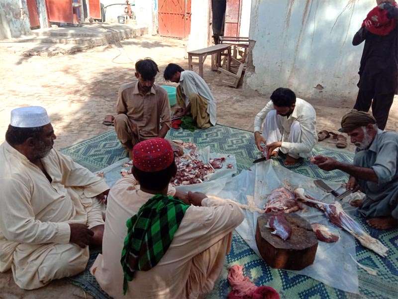 راجن پور: منہاج ویلفیئر فاؤنڈیشن کے زیراہتمام اجتماعی قربانی، مستحقین میں گوشت کی تقسیم