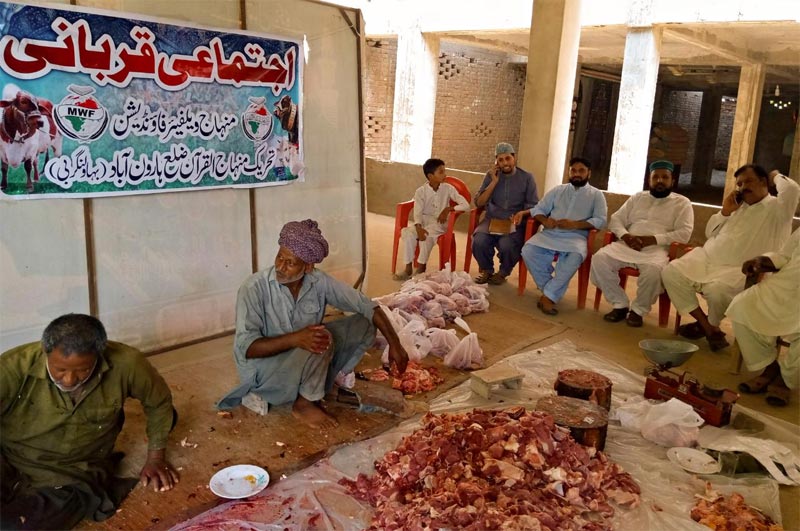 ہارون آباد (بہاولنگر بی): منہاج ویلفیئر فاؤنڈیشن کے زیراہتمام اجتماعی قربانی، مستحقین میں گوشت کی تقسیم
